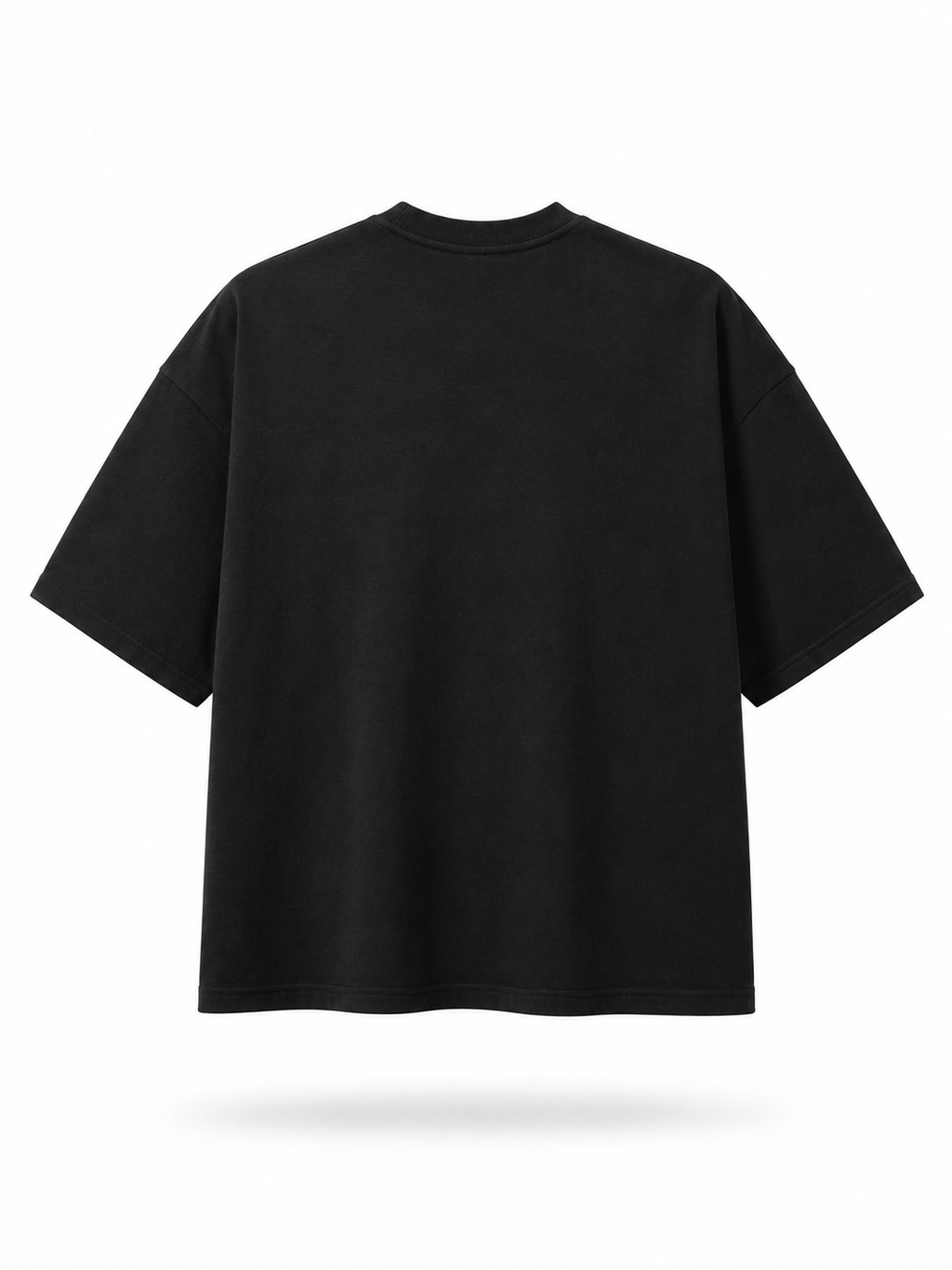CAMISETA PEDRERIA